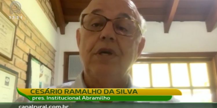 Abramilho destaca avanço da 3a. safra do grão em reportagem do Canal Rural
