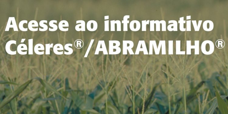 Novo relatório Céleres/Abramilho destaca início da colheita da safra de verão 2020/21