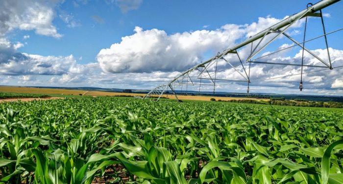 Artigo no Estadão Online: O Nobel é para agricultura brasileira