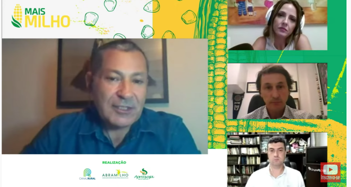 Assista webinar Abramilho sobre impactos de pragas e doenças nas lavouras do grão