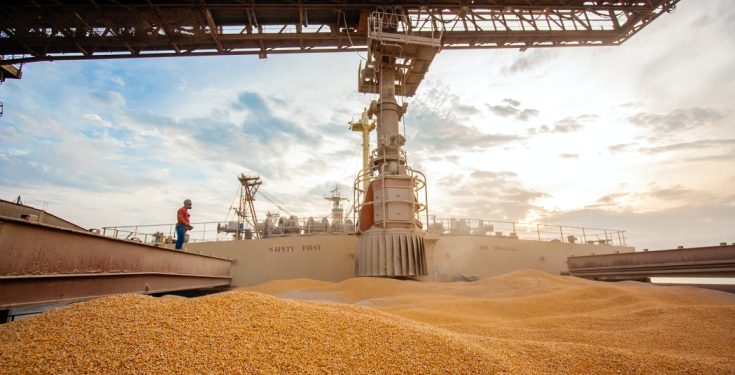 Exportações para Ásia e produção de etanol avançam como oportunidades de mercado para o milho