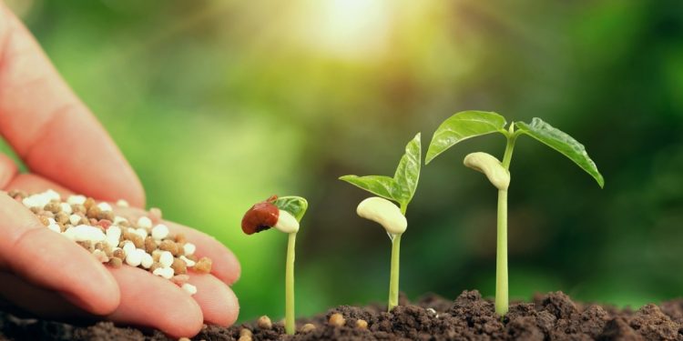 Syngenta garante à Abramilho segurança no abastecimento de insumos agrícolas ao mercado brasileiro
