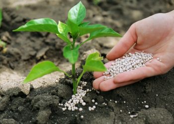 Plano Nacional de Fertilizantes é positivo, mas mineração em terras indígenas seria equívoco, avalia Abramilho