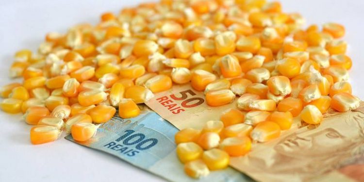 Suspensão do crédito subsidiado no fechamento desta safra 2021/22 gera preocupação para condições de financiamento na temporada 2022/23