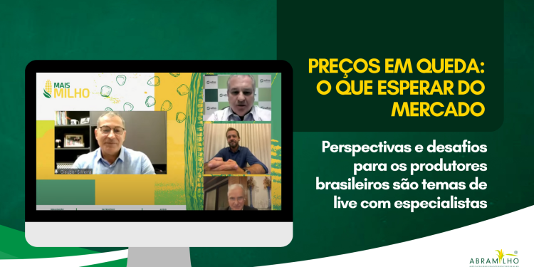 Mercado de milho em 2023: perspectivas e desafios para os produtores brasileiros são temas de live com especialistas